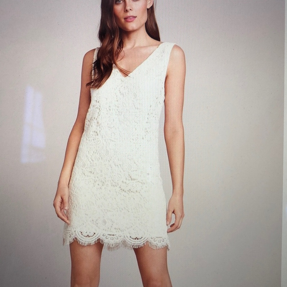 Bb Dakota lost in lace dress